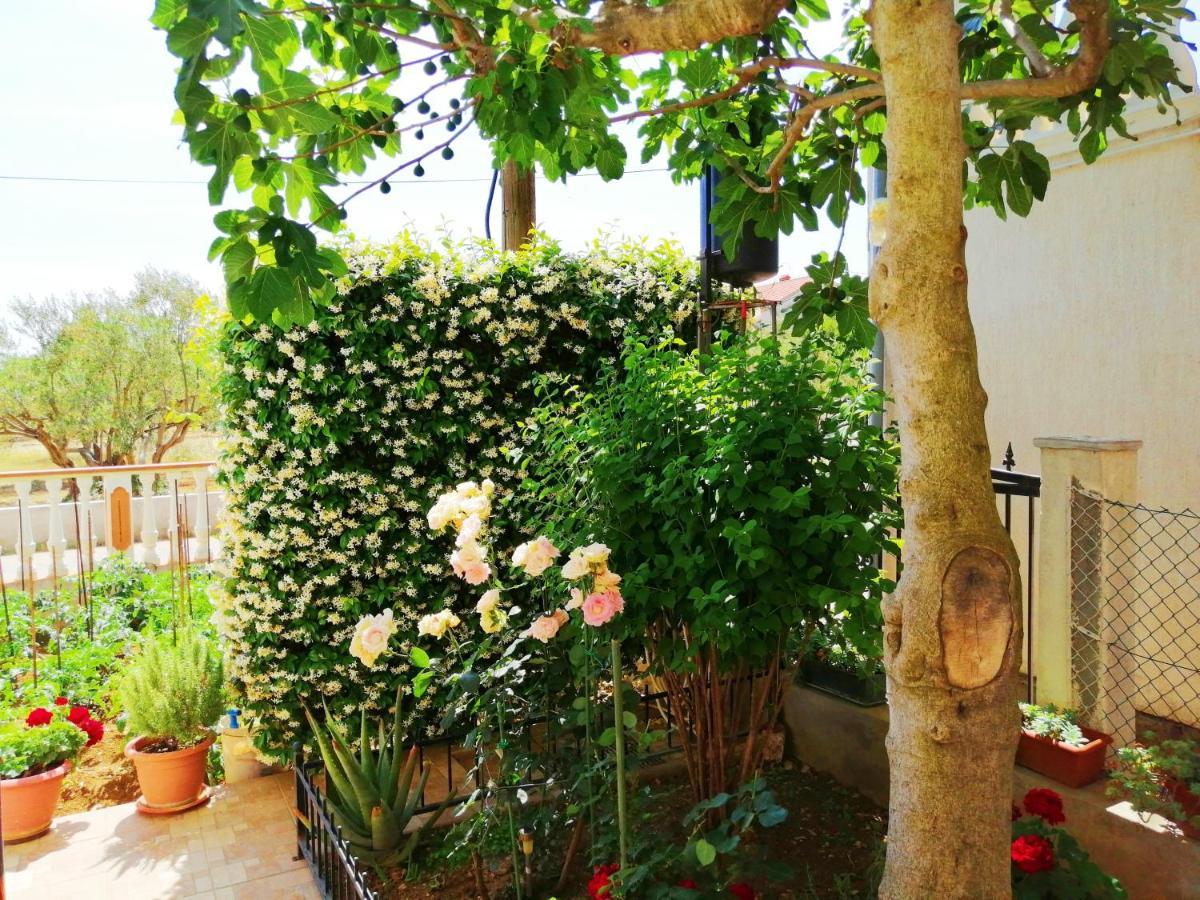 Apartments Brkovic Sukošan Dış mekan fotoğraf